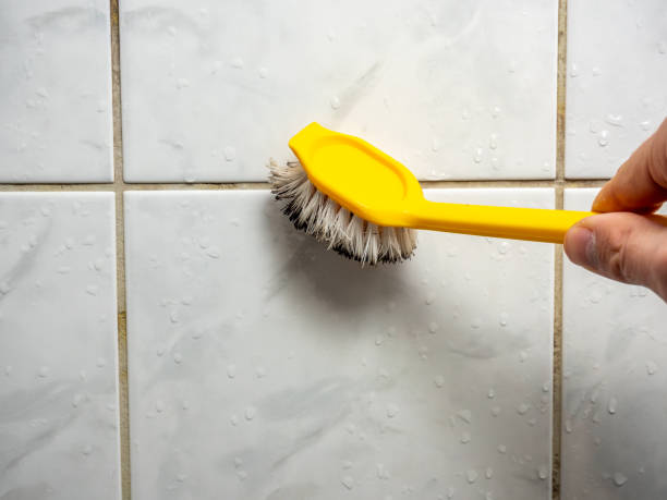 Best Fast Mold Removal  in Flora, IL