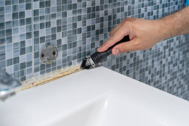 Best Local Mold Removal Service  in Flora, IL